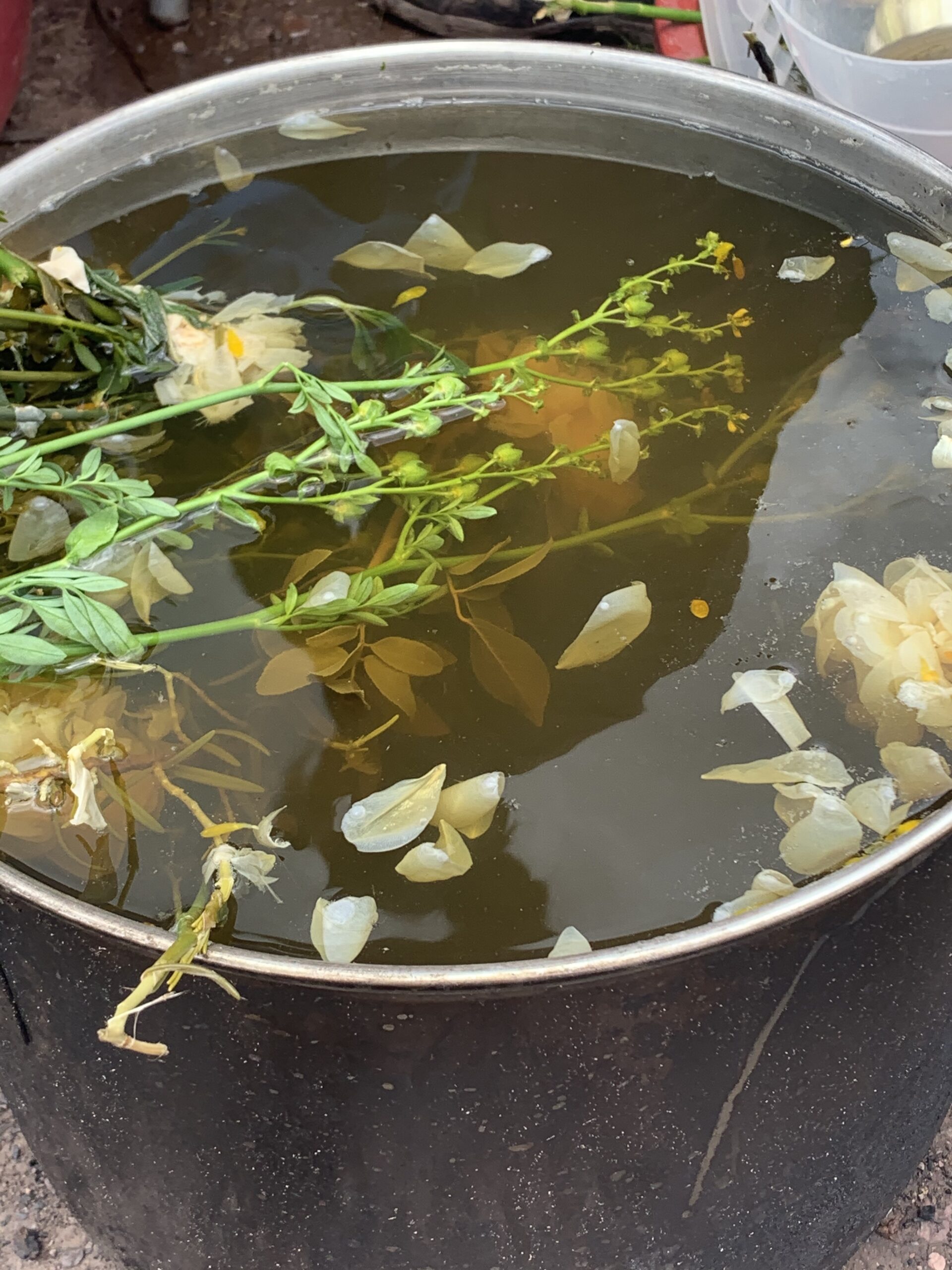 Unveiling the Secrets of Gut Health