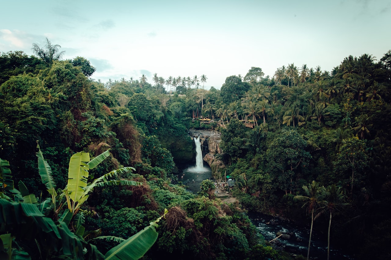 Uta: The Jungle Parasite To Make Your Experience Unforgettable.