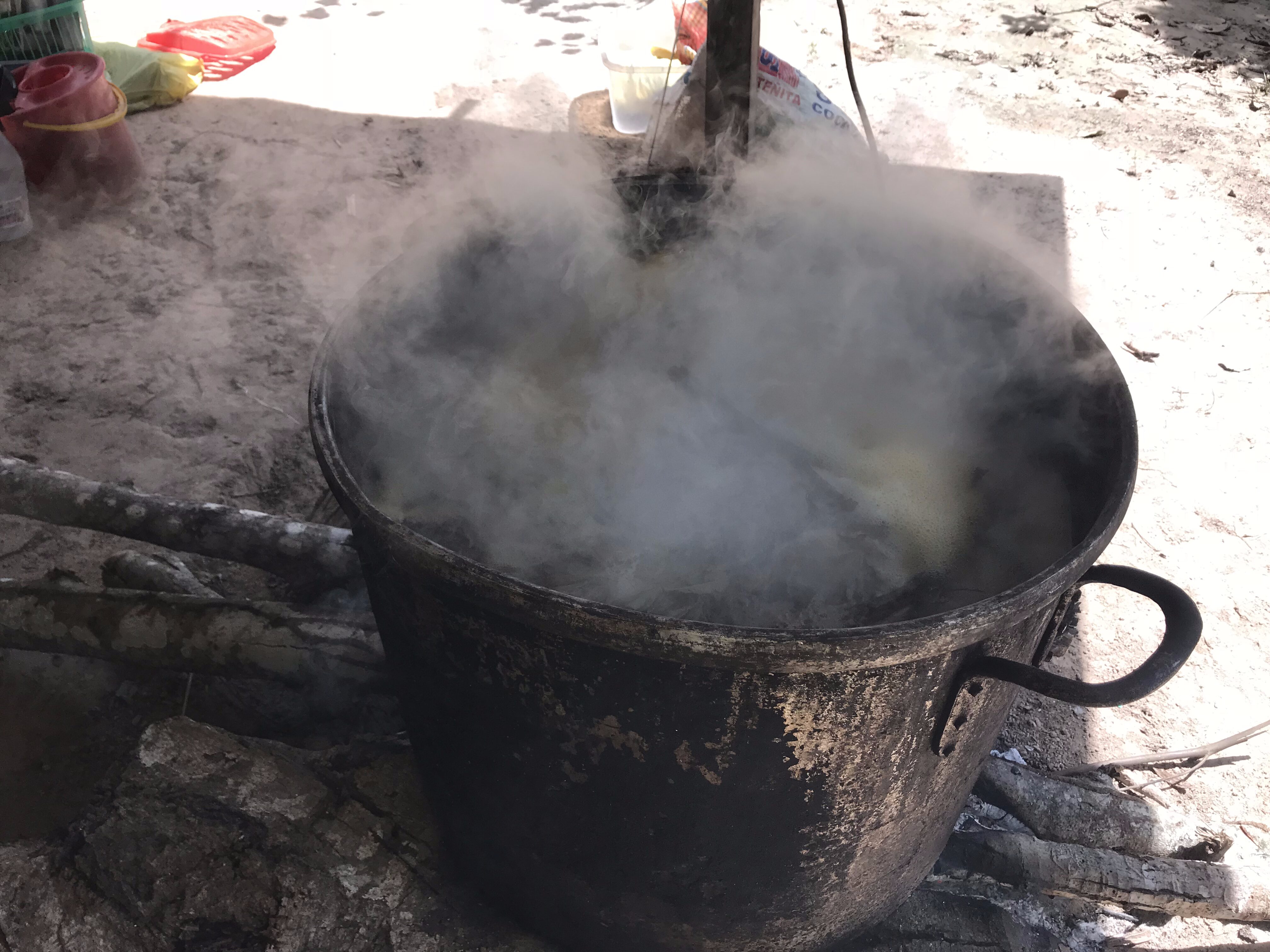 Traditional preparation of ayahuasca brew, showing the unique relationship between plant, preparation, and spirit.