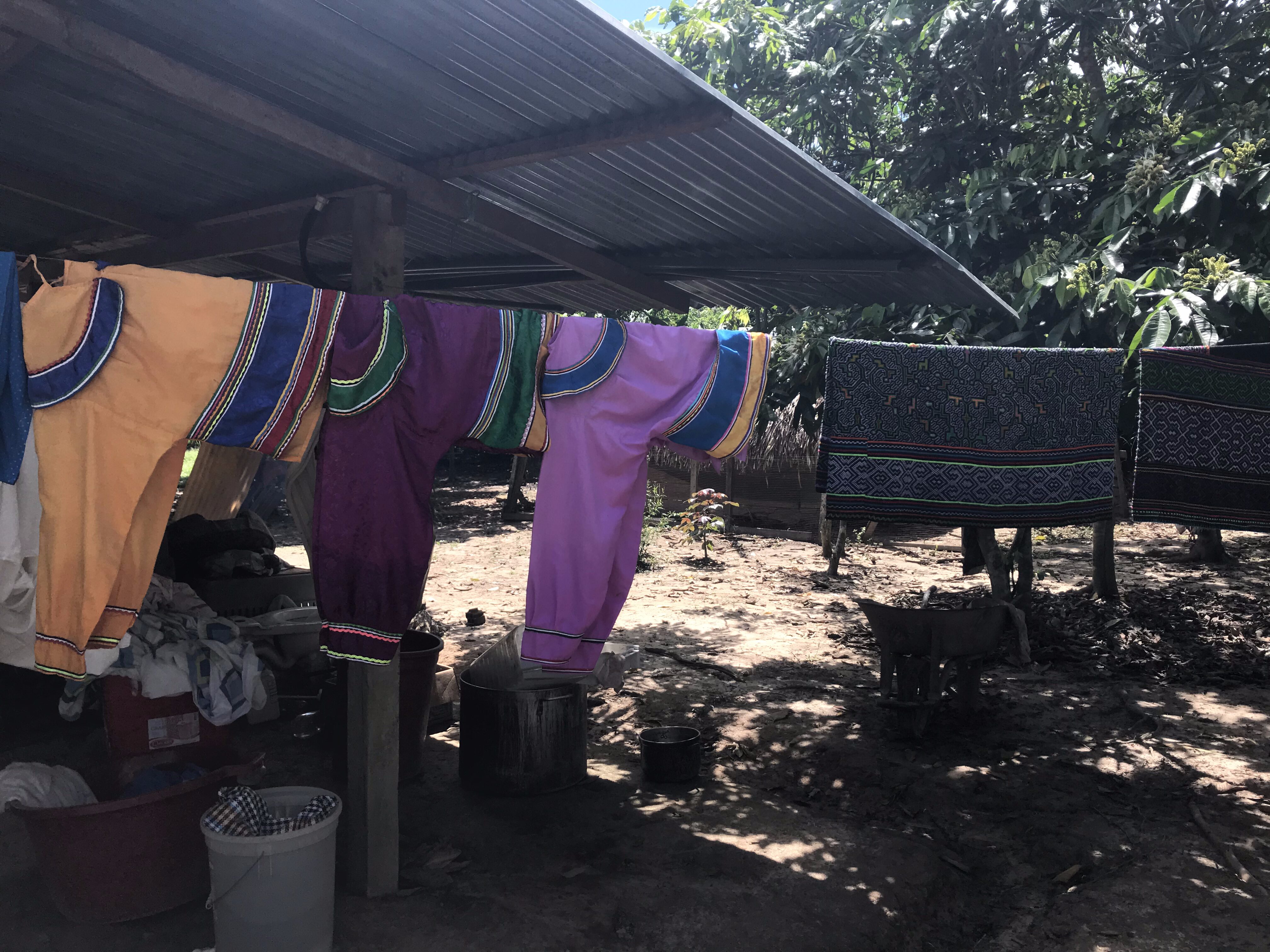 The Belly Remembers: Ayahuasca, Integration, and the Need for Safety