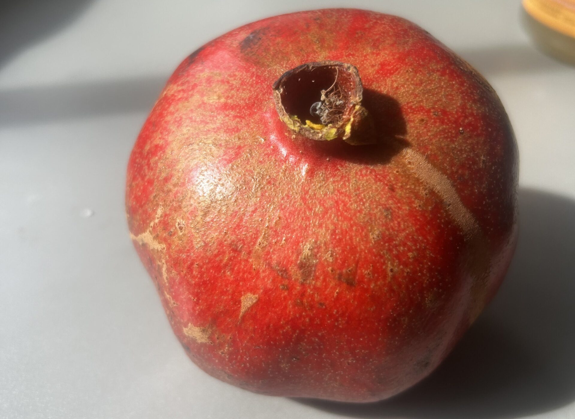 The Worm in the Pomegranate: What We Don’t See Matters
