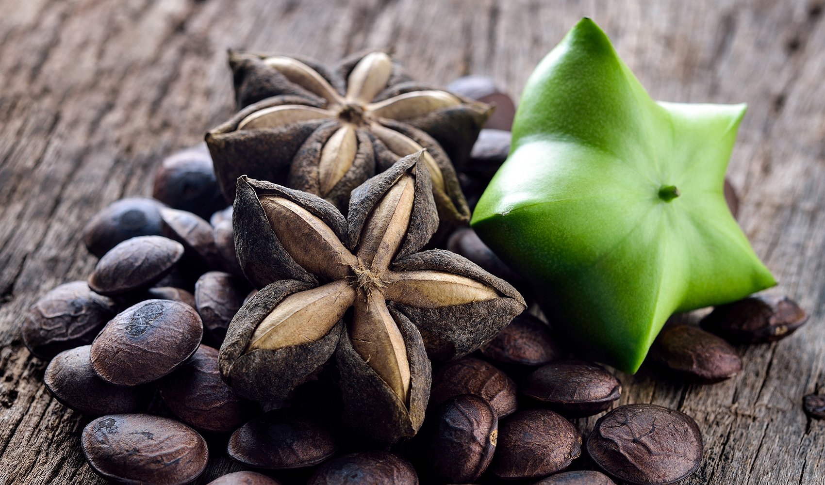 Why Buy Lotions? They’re Full Of Toxins, Face & Body Oil For Sensitive People